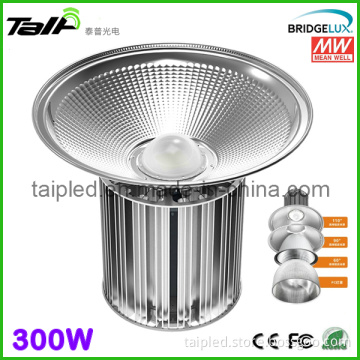 2014 New Style 300W LED High Bay Light Meanwell Driver CREE LED Industril Hgih Bay Lamp